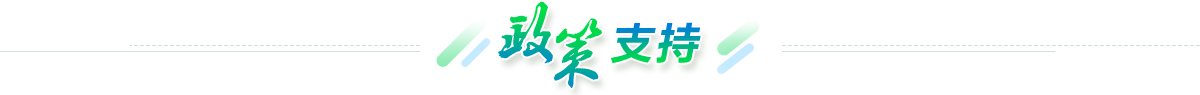 政策支持