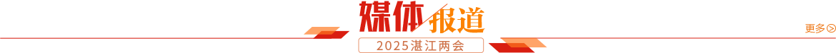 媒体报道